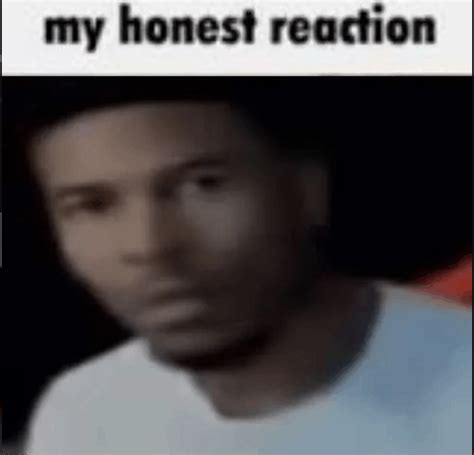 my honest reaction meme|my honest reaction meme generator.